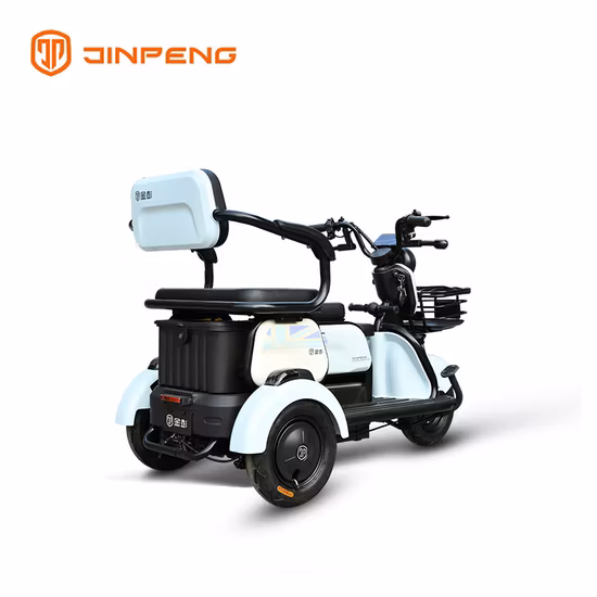 EEC Electric Tricycle for Passengers Manufactured by Jinpeng Group
