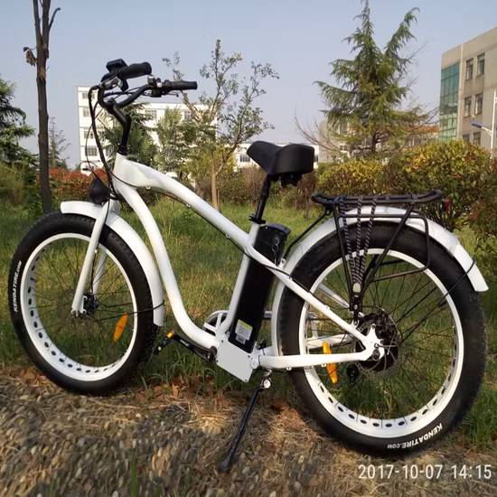 500W/750W Bafun Bafang Motor Fat Tire Mountain Wholesale Electric Bicycle